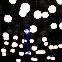 摩(摩)托摇dj奶