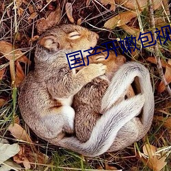 國産開嫩包視頻在線觀看