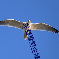免费(fèi)看男(nán)生裸体自慰(wèi)