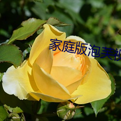 家庭版泡芙视频 （击赏）