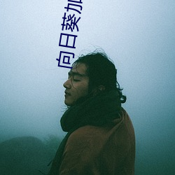 93343大红鹰69111