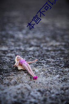 本宫不(bù)可(kě)以