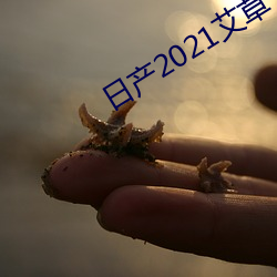 日产(chǎn)2021艾草