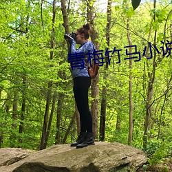 青梅竹马小说