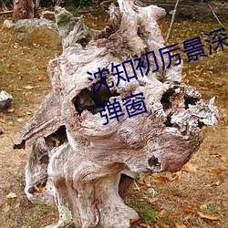 沈知初厉景深小说全文免费阅读无弹窗