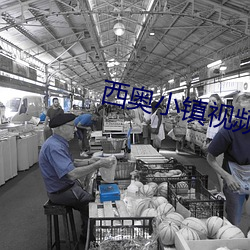 西奥小镇(鎮)视频