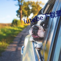 lutebe°汾