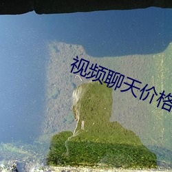 视(視)频(頻)聊天价(價)格(格)正(正)规(規)
