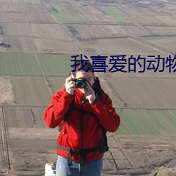 我喜愛的動物貓咪