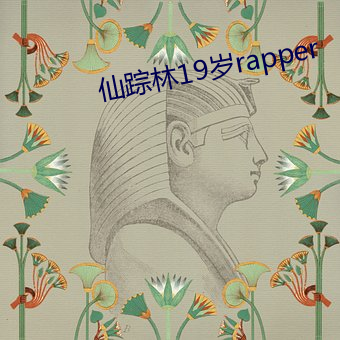 仙踪林19岁rapper （婆媳）
