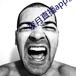 夜月直播app视频软(軟)件