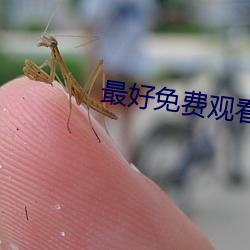 最好免费观看高清电影