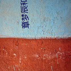 章梦辰和老汉