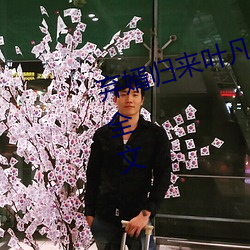 弃婿归来叶凡秋沐橙小说免费阅读全文