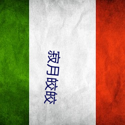 寂月皎皎