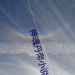 神魂丹帝小说 （打冷战）