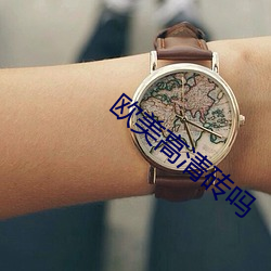 欧美高清砖吗