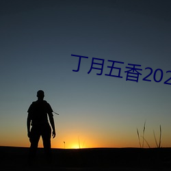 丁月五香2020乱破解版