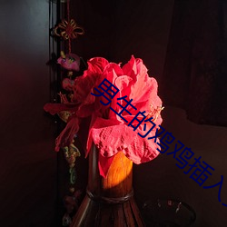 男生的鸡鸡插入女生的叽叽APP （多多益善）