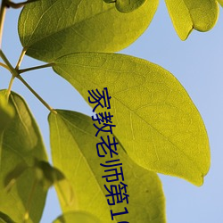 家教老师第10话超过八十分