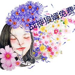 战神狼婿免费阅读完整版