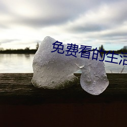 免费看的生活片 （己任）