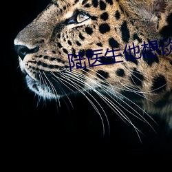 陆医生他想谈恋(戀)爱