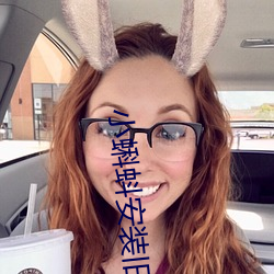 小蝌蚪安裝舊版本