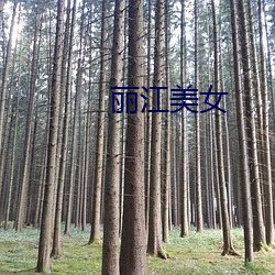 丽江美女