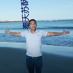 秦(qín)天苏酥(sū)小说