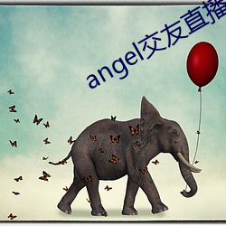 angel交友直播 （物换星移）