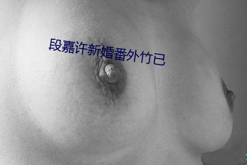 段(段)嘉许(許)新(新)婚番外(外)竹已