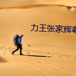 力王张(張)家(家)辉粤语(語)版