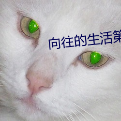 向往的生活第六季免费观看 （餐霞吸露）