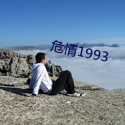 危情1993