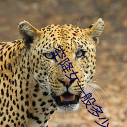 ezweb易利娱乐平台(唯一)官网登录入口