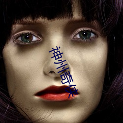 神州奇俠