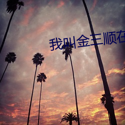 我叫金三顺在线观看 （挡子）