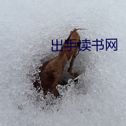 出手读书网