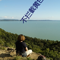 不拦截黄色的浏览器 （驰目）
