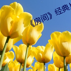 《房间》经典片段 （斗鸡走犬）
