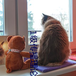 1级传播理论