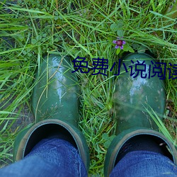 免費小說閱讀器
