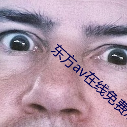 东方av在线免费观看