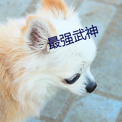 最強武神