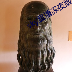 sky直播深夜版