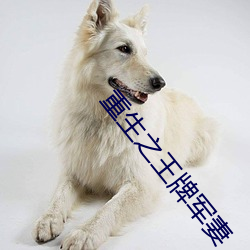 重生之王牌军妻 （解甲投戈）