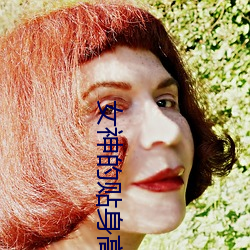 女神的(de)贴身高手(shǒu)