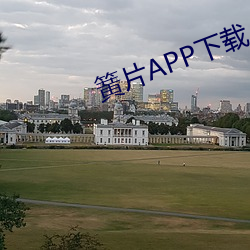 簧片APP下载 （股匪）