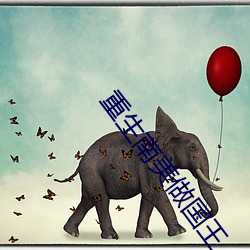 重生南美做國王